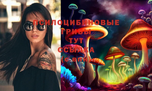 дмт Балахна