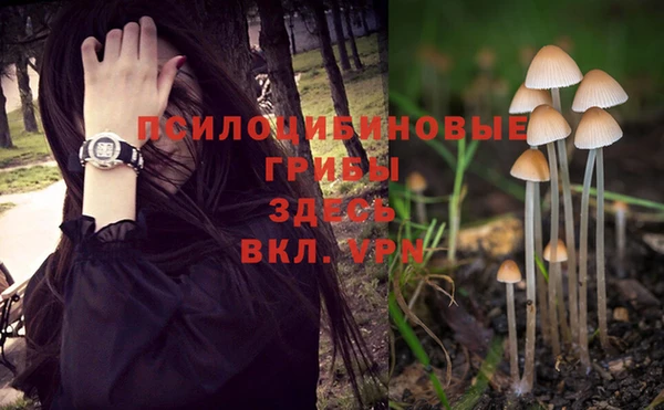 2c-b Баксан
